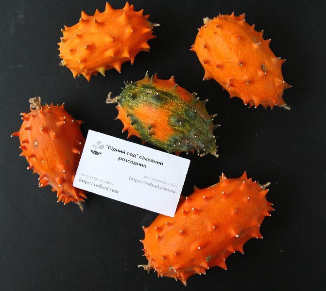 Кивано семена (10 шт) огурец африканский (Cucumis metulifer) дыня рогатая RS-01293 фото