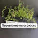 Чабрец семена 0,15 гр. (прибл. 600 шт) тимьян садовый обыкновенный (Thymus vulgaris) RS-00294 фото 3