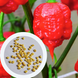 Перец острый Carolina Reaper Red семена (5 шт) Каролина Рипер каролинский жнец красный чили суперхот до 2 200 000&nbsp;SHU RS-02172 фото 1