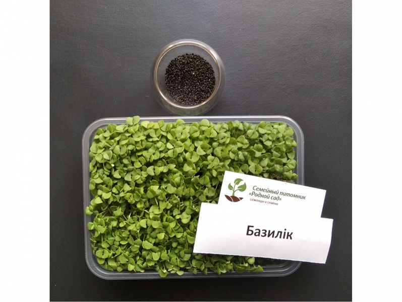 Базилик фиолетовый семена для микрозелени (5 грам) RS-00522 фото