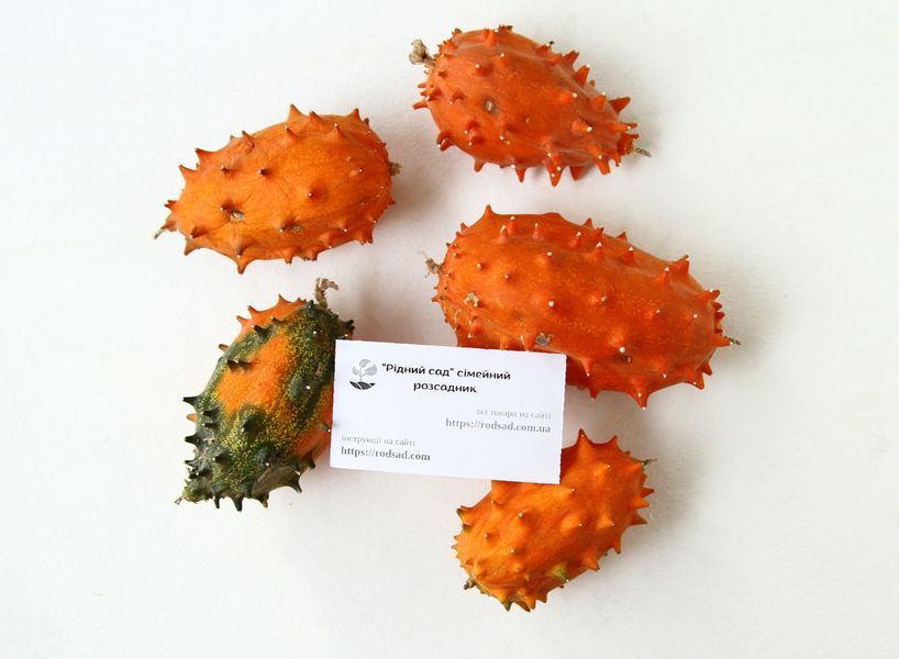 Кивано семена (10 шт) огурец африканский (Cucumis metulifer) дыня рогатая RS-01293 фото